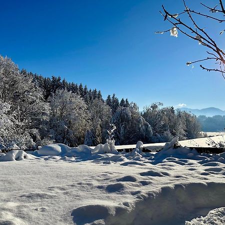 Вилла Landsitz Rocky Docky Niedersonthofen Экстерьер фото