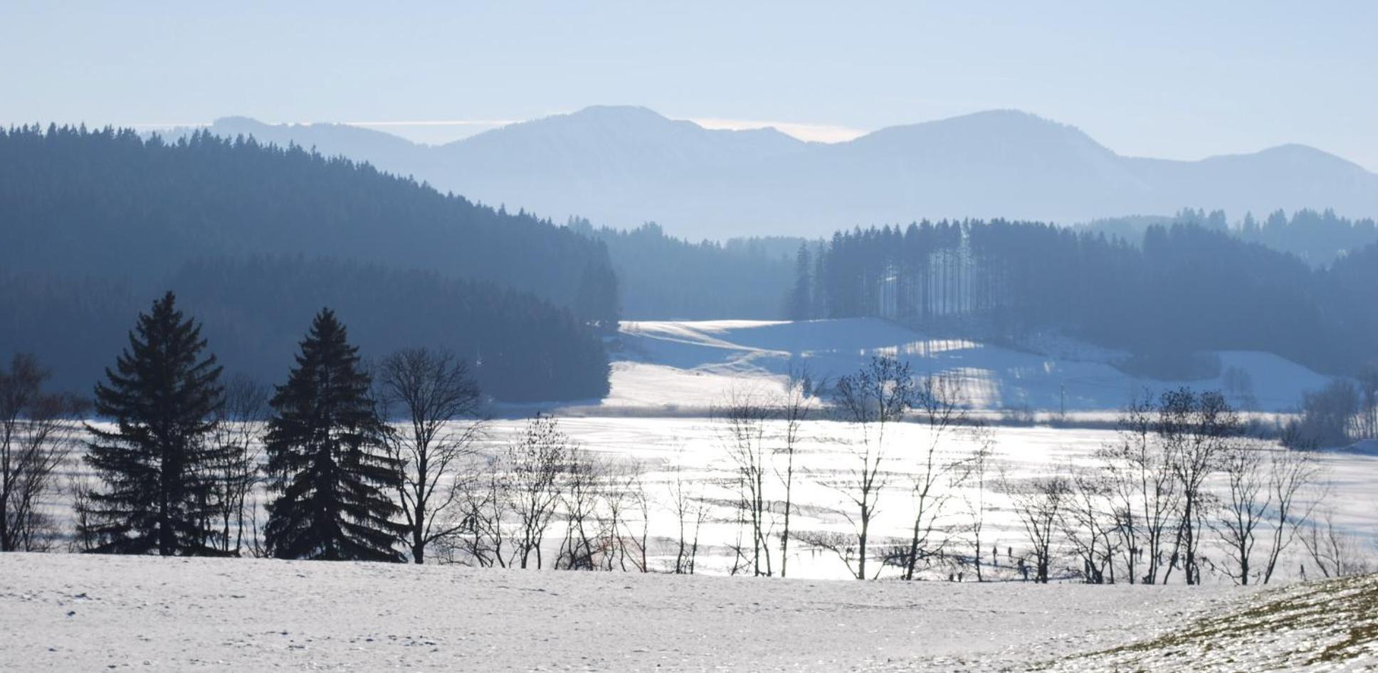 Вилла Landsitz Rocky Docky Niedersonthofen Экстерьер фото